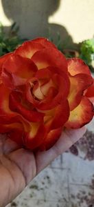 received_374495808277913