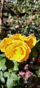 received_320543777470643