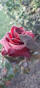 received_770091514945656