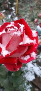 received_898949658473409