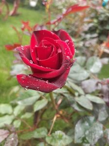 received_940517417672998