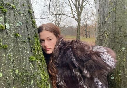 Me and the treeṥ diṥcuṥṥing motifṥ and themeṥ