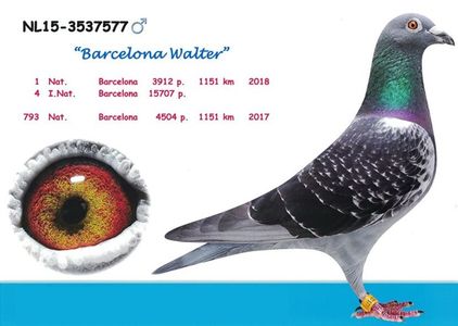 barcelona-walter