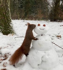 second, just say you’d rather have me drive you around.; my ranking: bike > train > car > plane
