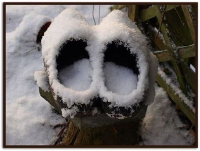 It’s an Elf! You’re still confusing the two.; For you: https://imgur.com/a/S45f3gg 
Holy crap, the way they’re merchandising his name! Did you just buy me a purse?
