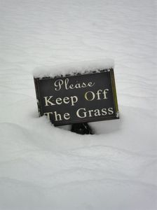 Ignore it, he got his prison belongings and gave them to me.; We’re not. Who would take care of it?! Wait, do you want one?
