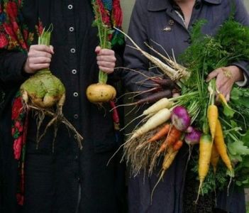 I wouldn’t have let you draw me if I thought you a bad artist.; .ooʇ noʎ ɯoɹɟ s’ʇᴉ ʇɐɥʇ ǝʇoɹʍ I ,ʎɹɹoʍ noʎ ʇ’uop ?ʇuǝsǝɹd sɐɯʇsᴉɹɥƆ sᴉɥ ɯᴉɥ ʇuǝs I ʍouʞ noʎ ,ʇᴉ ɓuᴉop llᴉʇs ǝɹ’ǝʍ puɐ ,sǝʎ
