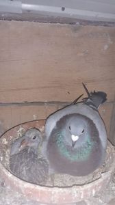 IMG-20240103-WA0015