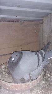 IMG-20240103-WA0017