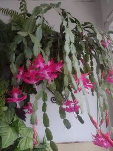 IMG-20240108-WA0000