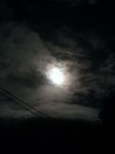 Img.2023.10.31