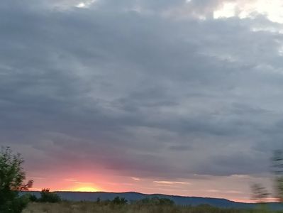 Img.2023.08.31