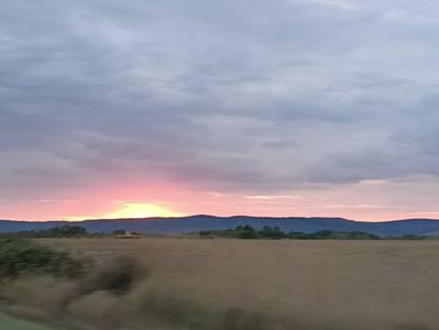 Img.2023.08.31