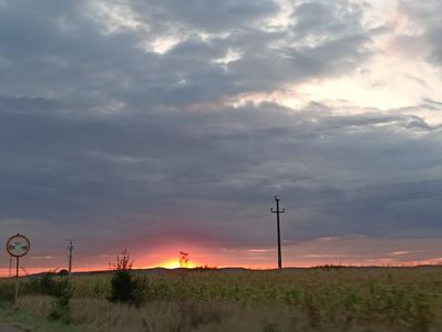 Img.2023.08.31