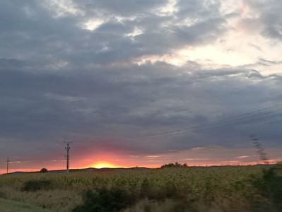 Img.2023.08.31