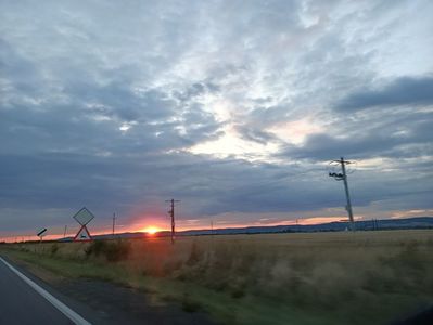 Img.2023.08.31
