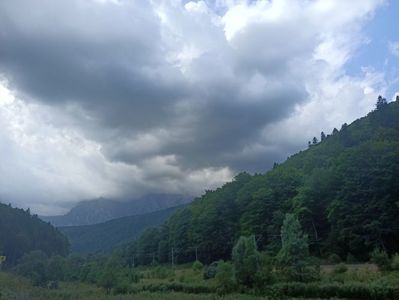 Img.2023.08.24