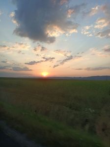 Img.2023.08.17