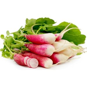 cylindrical-radish-seeds-flamboyant-