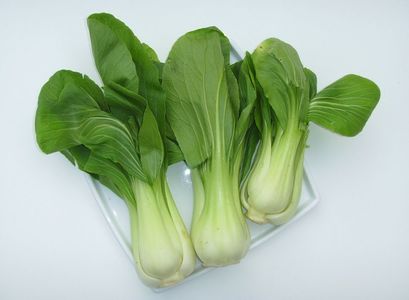 Brassica Rapa Chinensis Pak Choi.