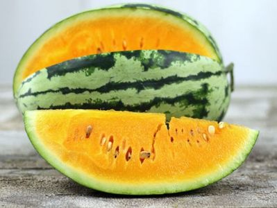 Citrullus Lanatus Orangeglo