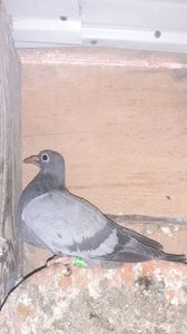 IMG-20240114-WA0014