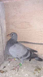 IMG-20240114-WA0012