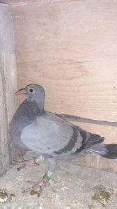 IMG-20240114-WA0002