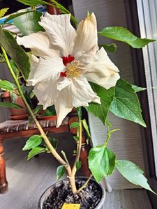 IMG20231201085640