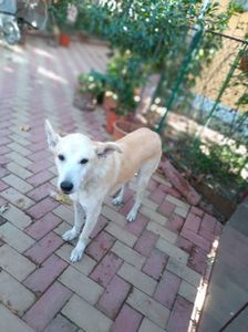 IMG-20230928-WA0010