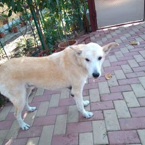 IMG-20230928-WA0012