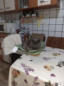 IMG-20230929-WA0009