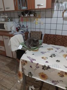 IMG-20230929-WA0010