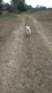 IMG-20231001-WA0005