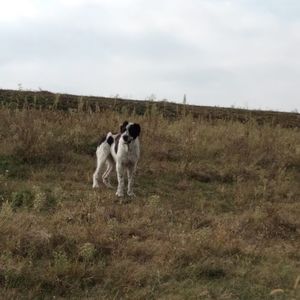 IMG-20231001-WA0010