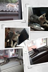 IMG-20231017-WA0005