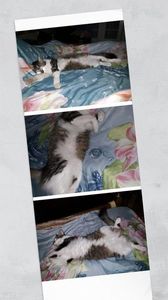 IMG-20231129-WA0000