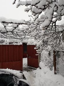 IMG-20231215-WA0003