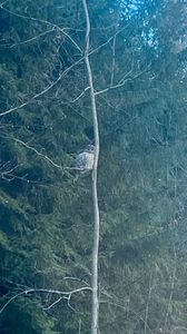 IMG-20231217-WA0004