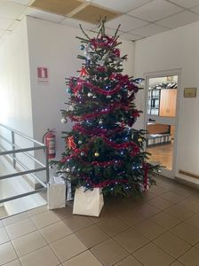 IMG-20231220-WA0011