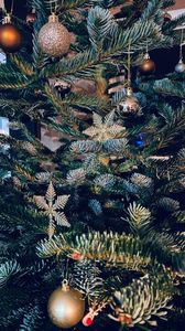 IMG-20231222-WA0001