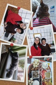 IMG-20231224-WA0028