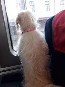 IMG-20231228-WA0006