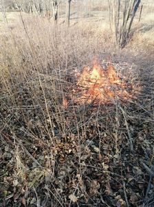 IMG-20240123-WA0064