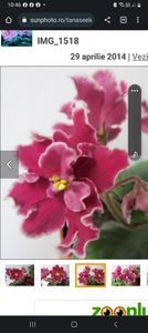 Screenshot_20230519_104624_Chrome