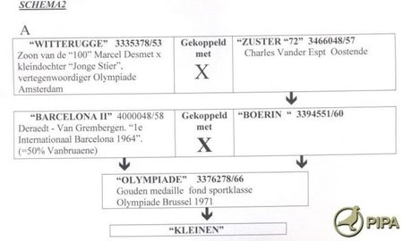 aaschema2_0