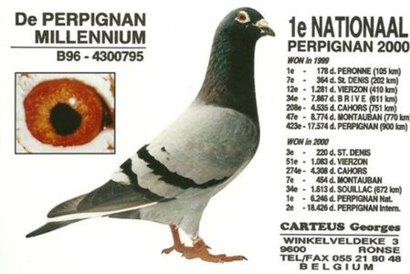 carteus_millennium_perpignan