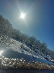 IMG-20240120-WA0017
