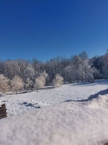 IMG-20240120-WA0018