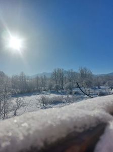 IMG-20240120-WA0019